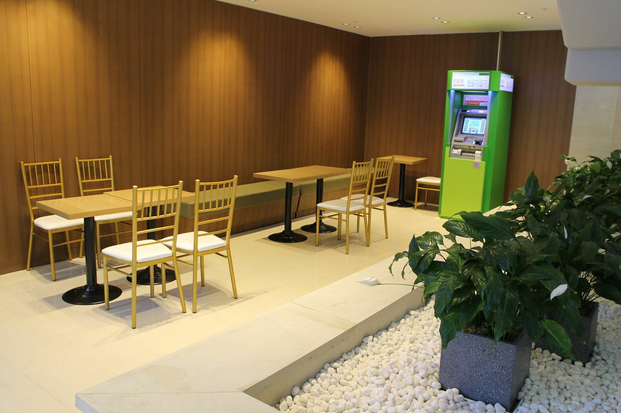Golden Daisy Hotel Seogwipo Exterior photo